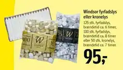 Føtex Windsor fyrfadslys eller kronelys tilbud