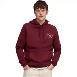 Sport 24 PUMA Class Graphic Hættetrøje Herre tilbud