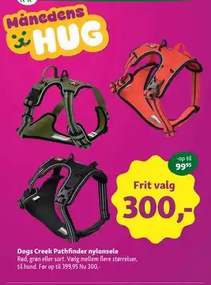 Dogs Creek Pathfinder nylonsele