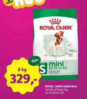 Maxi Zoo ROYAL CANIN Adult Mini tilbud