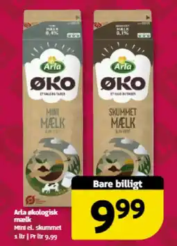 Løvbjerg ARLA Økologisk meelk tilbud