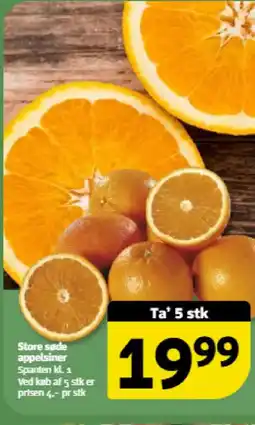 Løvbjerg Store søde appelsiner tilbud
