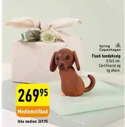 Imerco Flash hundehvalp tilbud