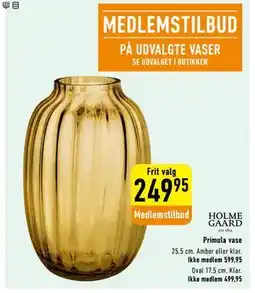 Imerco Primula vase, Medlemspris tilbud