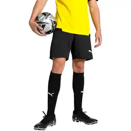 Sport 24 PUMA teamGOAL Træningsshorts Herre tilbud