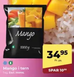 Dagrofa Food Service Mango i tern tilbud