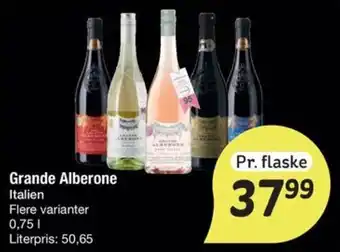 Fakta Tyskland Grande alberone tilbud