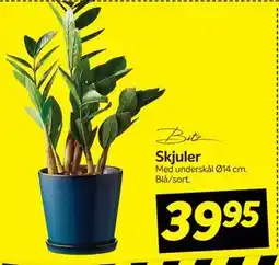 Din Isenkræmmer Skjuler tilbud