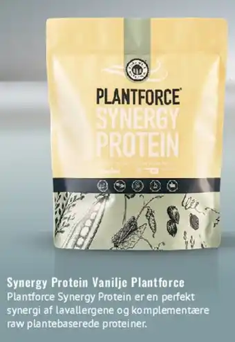 Synergy Protein Vanilje