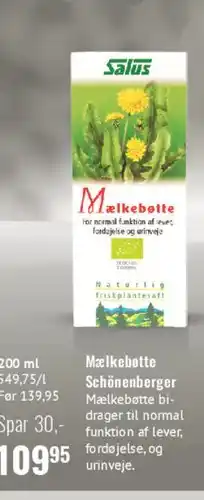 Mælkebøtte (Melkebøtte)