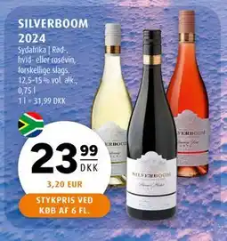 Scandinavian Park SILVERBOOM 2024 tilbud