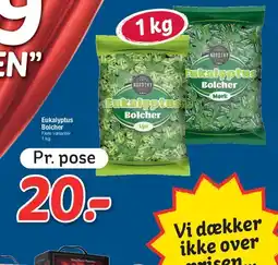 Fakta Tyskland Eukalyptus Bolcher tilbud