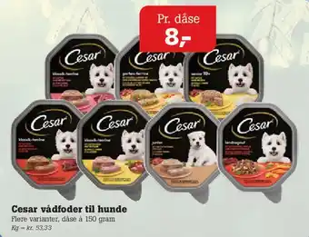 Poetzsch Padborg Cesar vådfoder til hunde tilbud