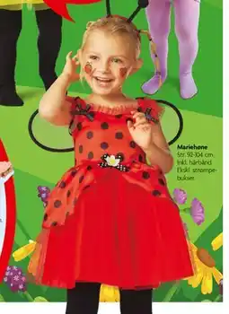 Fætter BR Mariehøne tilbud