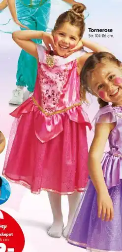 Fætter BR Tornerose tilbud