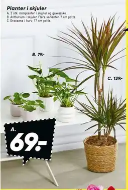 Bilka Planter i skjuler tilbud
