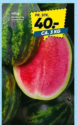 Bilka Kernefattig vandmelon tilbud