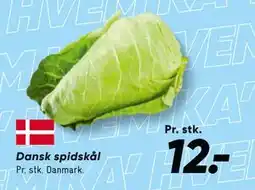 Bilka Dansk spidskål tilbud