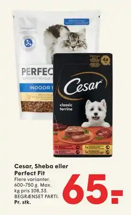 SPAR Cesar, Sheba eller Perfect Fit tilbud