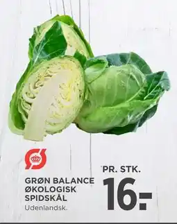 MENY GRØN BALANCE ØKOLOGISK SPIDSKÅL tilbud