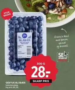 MENY GESTUS BLÅBÆR tilbud