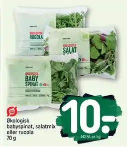 REMA 1000 Økologisk babyspinat, salatmix eller rucola 70 g tilbud