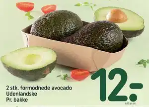 2 stk. formodnede avocado Udenlandske Pr. bakke