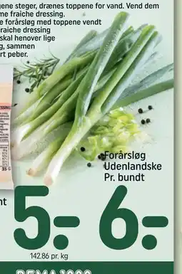 REMA 1000 Forårsløg Udenlandske Pr. bundt tilbud