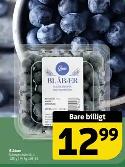 Løvbjerg Blåbær tilbud