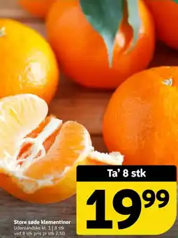 Løvbjerg Store søde klementiner tilbud