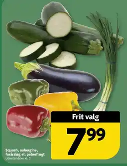 Løvbjerg Squash, aubergine, forårsløg el. peberfrugt tilbud