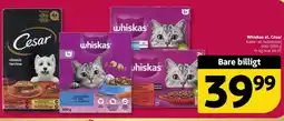 Løvbjerg Whiskas el. Cesar tilbud