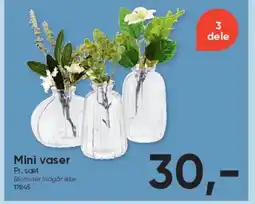 BigDollar Mini vaser tilbud