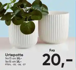 BigDollar Urtepotte tilbud