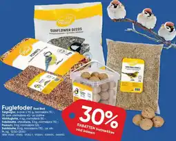 BigDollar Fuglefoder Real Bird tilbud