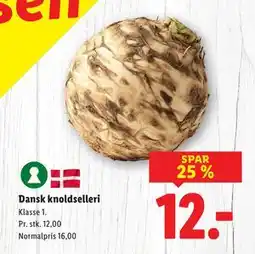 Lidl Dansk knoldselleri tilbud