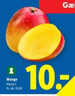 Lidl Mango tilbud