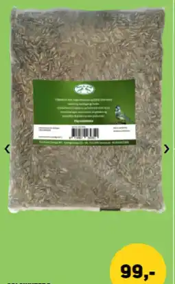 XL-BYG Solsikkefro tilbud