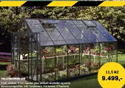 XL-BYG Halls magnum 148 tilbud