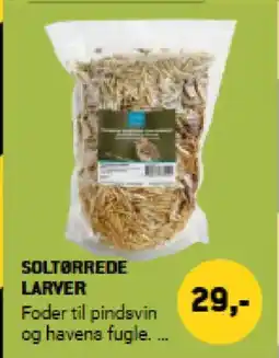 XL-BYG Soltørrede larver tilbud