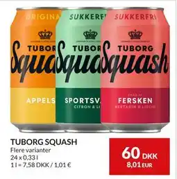 Nielsen's Discount TUBORG SQUASH tilbud