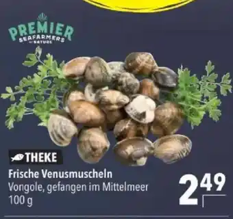 Citti Theke frische venusmuscheln tilbud