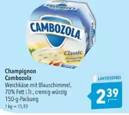 Citti Champignon Cambozola tilbud