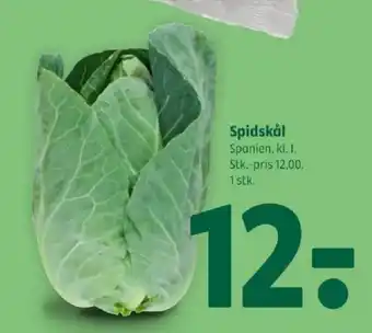 Coop 365 Spidskål tilbud