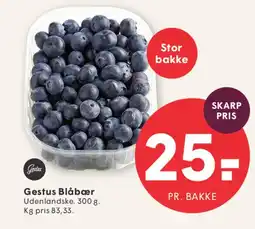 SPAR Gestus Blåbær tilbud