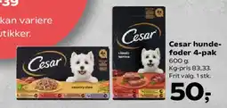 Kvickly Cesar hundefoder 4-pak tilbud