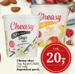 Dagli'Brugsen Cheasy skyr tilbud