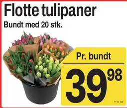 ABC Lavpris Flotte tulipaner tilbud