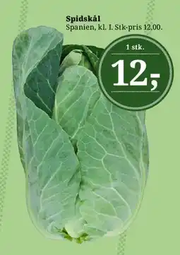 Dagli'Brugsen Spidskål tilbud