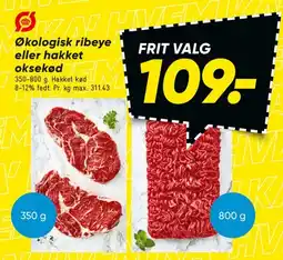 Bilka Økologisk ribeye eller hakket oksekød tilbud